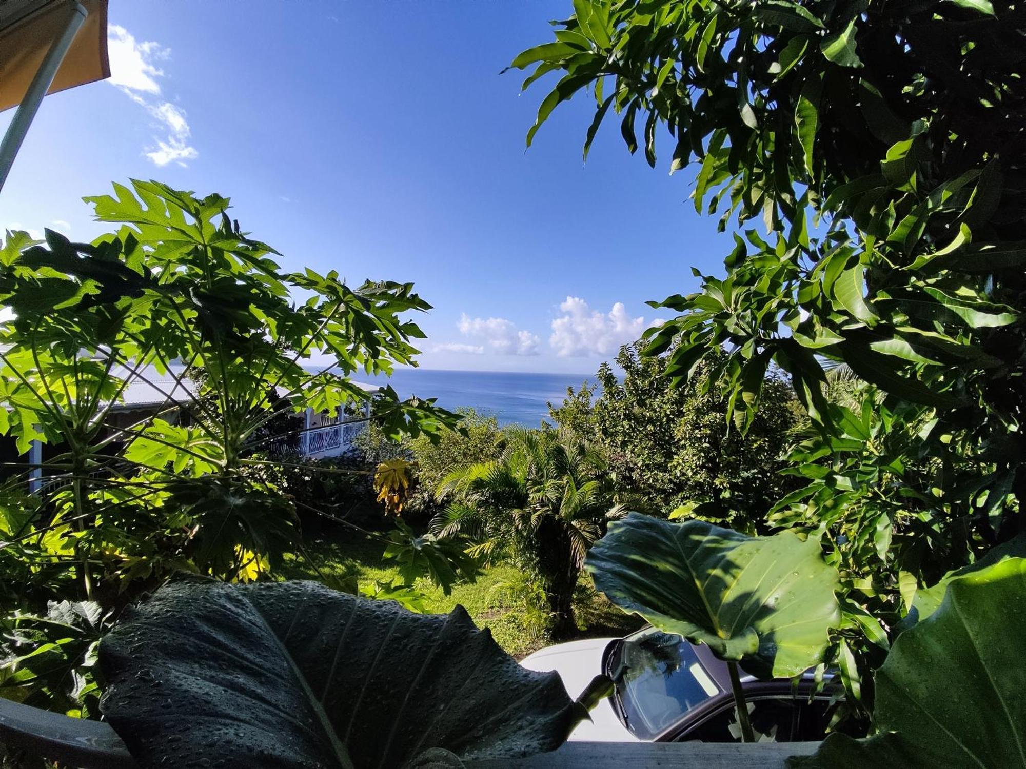 With Sea View In Holiday home